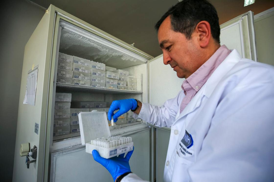 El investigador y profesor de la Pontificia Universidad Católica de Ecuador (PUCE), Javier Carvajal, revisa los componentes de una cerveza rescatada, 18 de agosto de 2022, en Quito (Ecuador). EFE/José Jácome