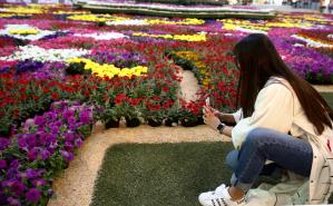 A woman takes a photo of the flower carpet created by the Santafé shopping center to mark the upcoming Flower Festival, in Medellín (Colombia). EFE/Luis Noriega