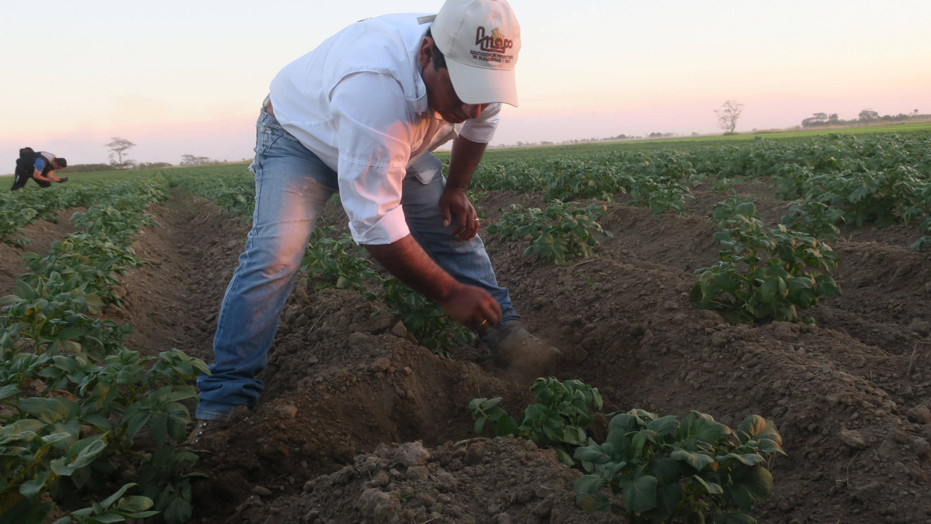 Foto de Archivo. Un productor de papa trabaja en una parcela de cultivo el pasado jueves, 26 de julio de 2018, en la región tropical de Santa Cruz (Bolivia). EFE/Gabriel Romano