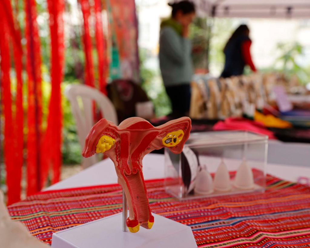 Fotografía de una campaña de cuidado menstrual el 6 de diciembre de 2022, en Bogotá (Colombia). EFE/ Mauricio Dueñas Castañeda