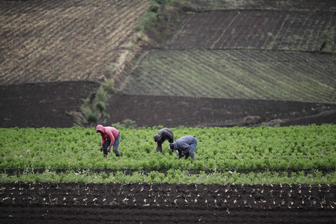 Foto de archivo. Campesinos trabajan en sus parcelas, este martes, 29 de octubre de 2019, en la zona de Tierra Blanca de Cartago al este de San José (Costa Rica). EFE/Jeffrey Arguedas 