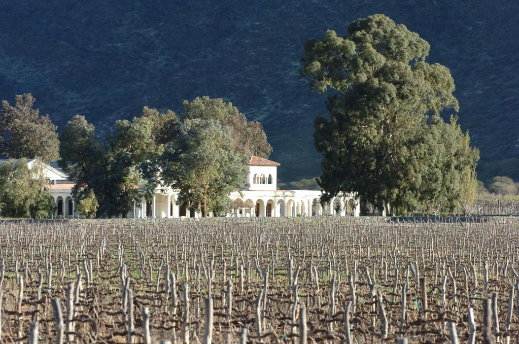 Foto de archivo. finca de los viñedos Lávaque, cerca de la ciudad de Cafayate, provincia de Salta (Argentina). EFE/ Cézaro De Luca