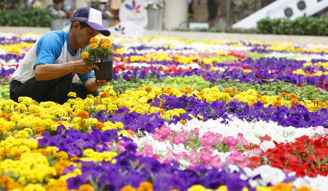 Foto de archivo. Flores de Colombia.EFE/Luis Eduardo Noriega A.