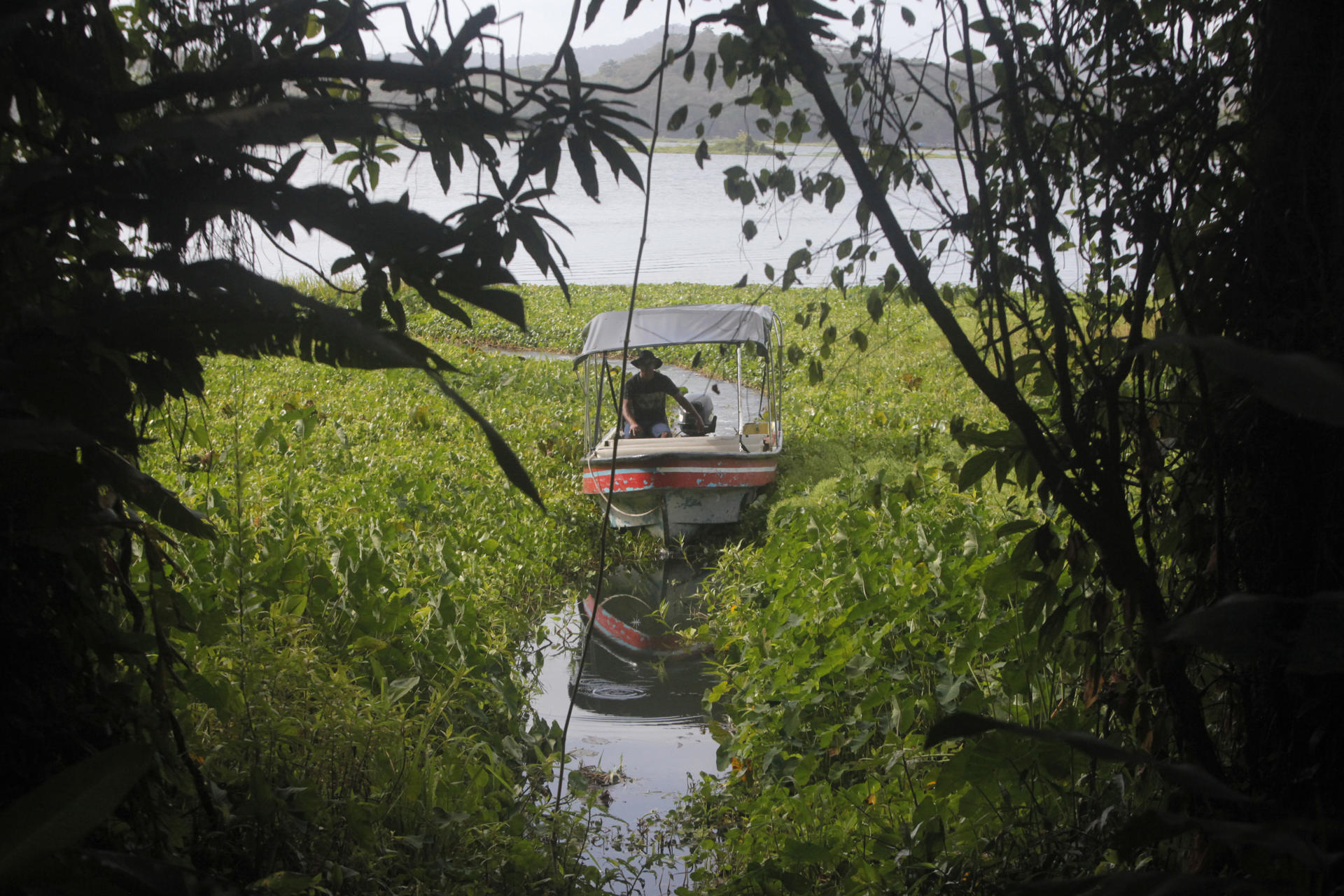 Fotografía que muestra Venta de Cruces, el 7 de febrero de 2023, en Gamboa (Panamá). En medio de la tupida selva de Panamá hay dos estrechos caminos que conectan el Caribe y el Pacífico e inspiraron la creación de lo que hoy es uno de los pasos marítimos más importantes del mundo y una destacada obra de la ingeniería moderna: el Canal de Panamá. EFE/Carlos Lemos