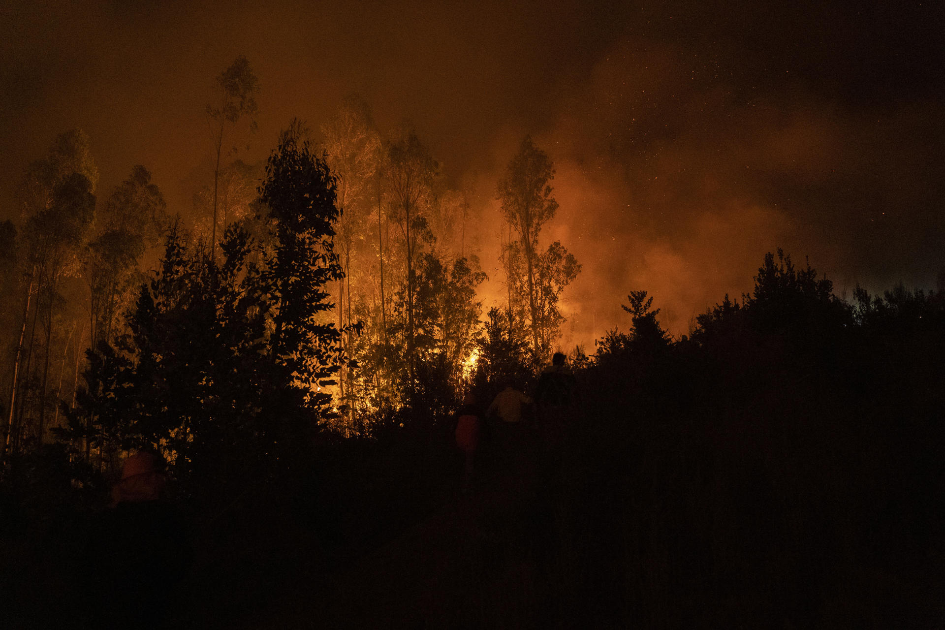 Fotografía de archivo de los incendios en el sector de San Rafael, el 07 de febrero de 2023 en Tomé, en la región del Bío Bío (Chile). EFE/ Adriana Thomasa