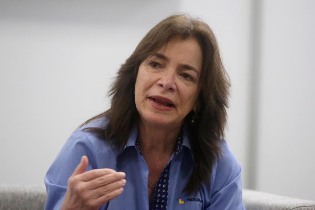 Foto de archivo de la presidenta de Procolombia, Carmen Caballero. EFE/Ricardo Maldonado Rozo