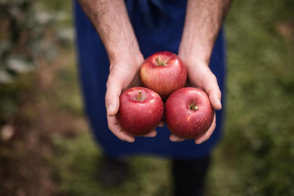 Pie de foto: Cosmic CrispAutor: Cosmic Crisp /Uso Editorial
