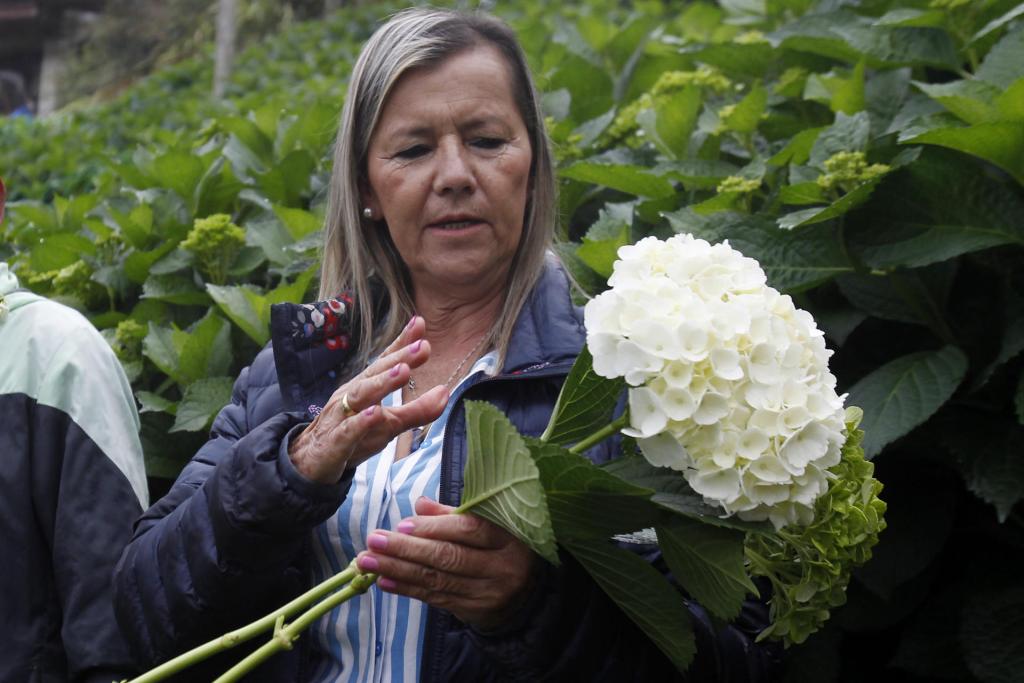 María Rosmery Martínez, propietaria de la agroempresa Los Cacahuates S.A.S., habla durante una entrevista con EFE, el 2 de marzo de 2023, en el municipio de Carmen de Viboral (Colombia). EFE/LUIS EDUARDO NORIEGA A.