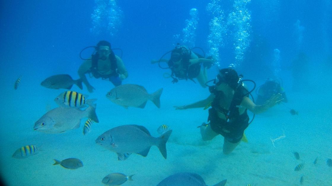 Foto de archivo de turistas buceando en la Isla de San Andrés (Colombia). EFE/Alejandro Varela