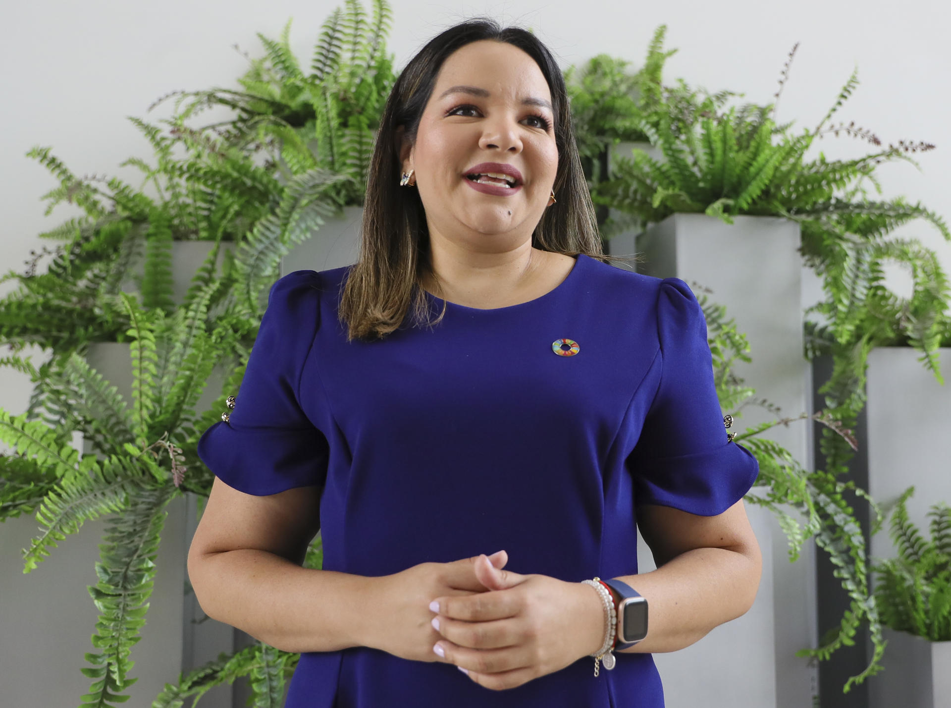 La subgerente de Proyectos Especiales de Ficohsa, Telma Sevilla, habla hoy durante una entrevista con EFE, en Tegucigalpa (Honduras).  EFE/Gustavo Amador