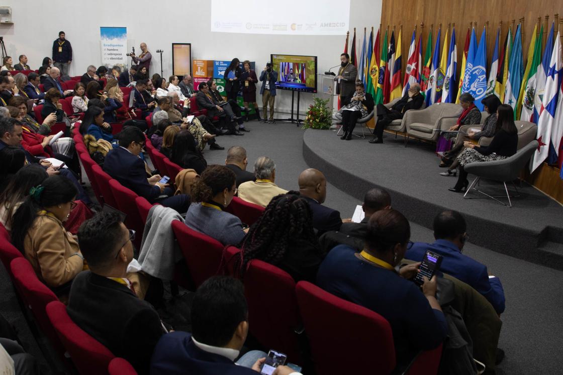 Vista general hoy del X Foro del Frente Parlamentario Contra el Hambre de América Latina y el Caribe (FPH-ALC), en Santiago (Chile). EFE /Lucas Aguayo Araos