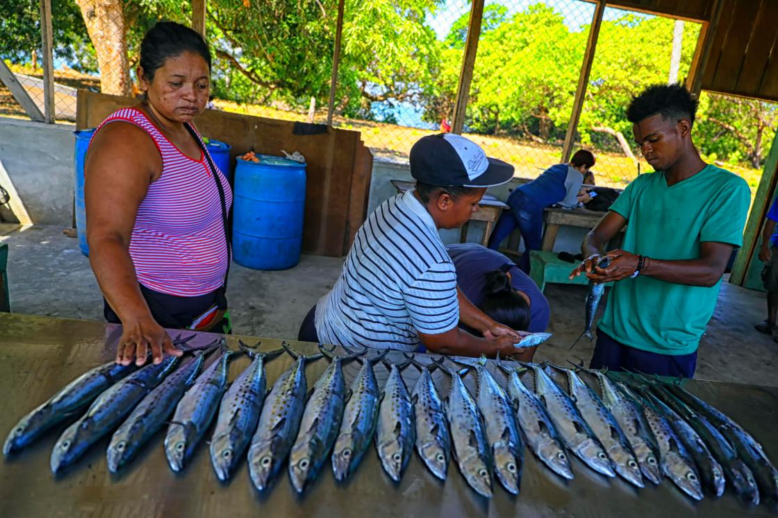 Indígenas de la etnia Miskita limpian pescados, el 24 de mayo de 2023, en la comunidad de Yahurabila (Honduras). EFE/ Gustavo Amador