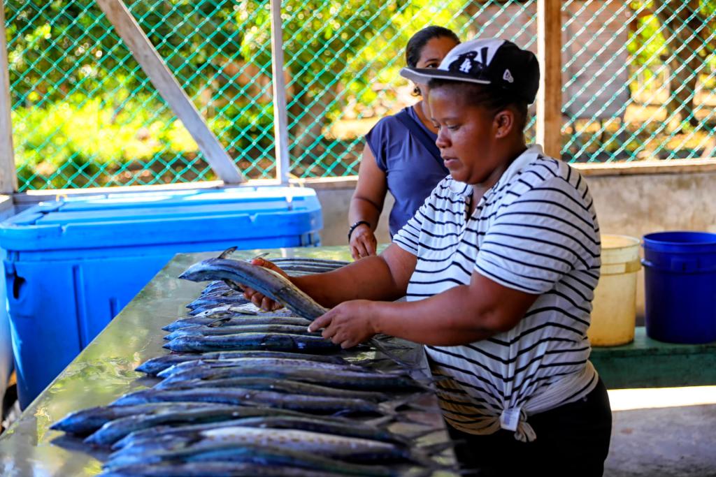 Indígenas de la etnia Miskita limpian pescados, el 24 de mayo de 2023, en la comunidad de Yahurabila (Honduras). EFE/ Gustavo Amador