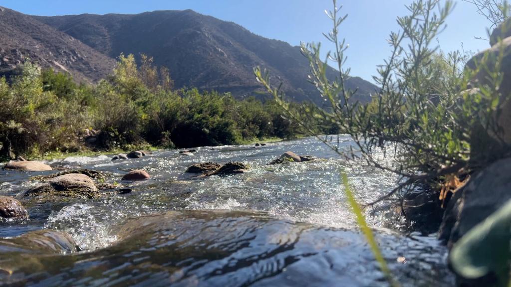 Fotografía del río Elqui, el 14 de junio 2023 en el Valle del Elqui, en la región de Coquimbo (Chile). El Valle del Elqui, ubicado al norte de Chile, es un oasis entre montañas que destaca por su misticismo, cielos estrellados, el buen pisco y ser el hogar de la poetisa Gabriela Mistral. EFE/ Rodrigo Saez