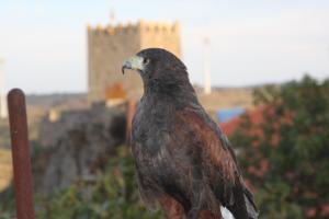 Sortelha, una cita medieval para españoles y portugueses. EFE