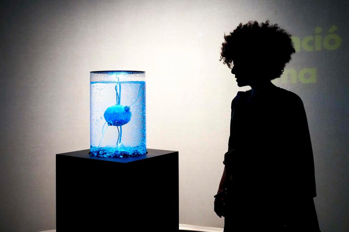 Imagen de archivo de una de las salas del Centro de Cultura Contemporánea de Barcelona (CCCB) que acoge una exposición coproducida con el Barcelona Supercomputing Center sobre la historia, las posibilidades creativas y los retos éticos y legislativos de la inteligencia artificial.EFE/Enric Fontcuberta