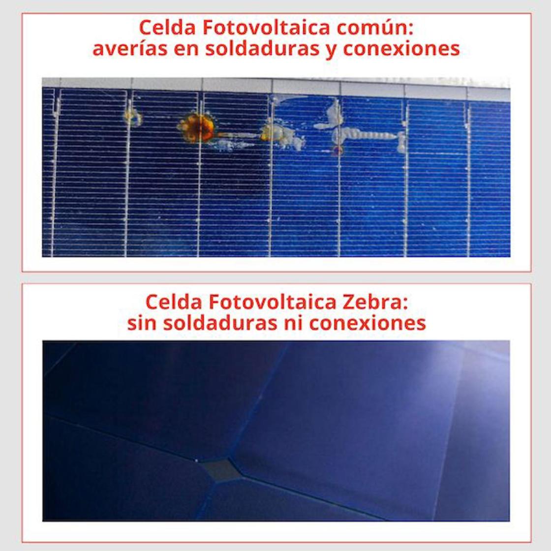 Pie de foto: Celda fotovoltaica común y celda fotovoltaica ZebraAutor: 2023