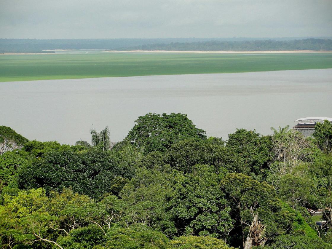 The expansion of mining activities in the Amazon River basin threatens more than 33% of the region's untouched tropical rainforests, which span eight countries, according to a report released on Tuesday. EFE/Fernando Bizerra Jr /FILE PHOTO 