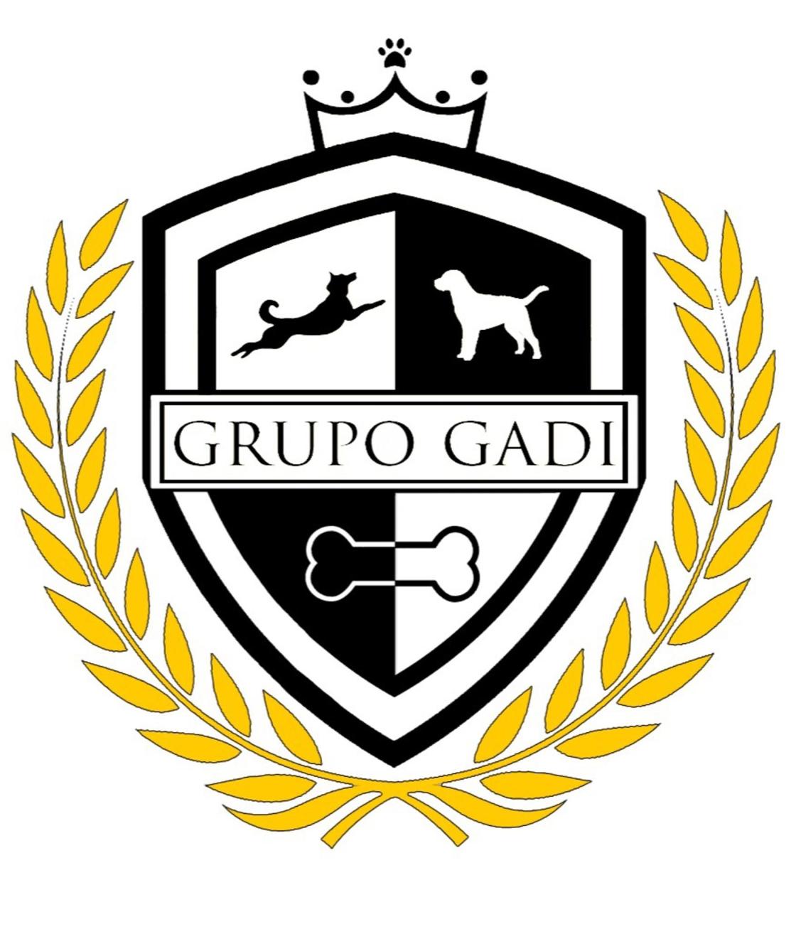 Imagen el logotipo Grupo GADI