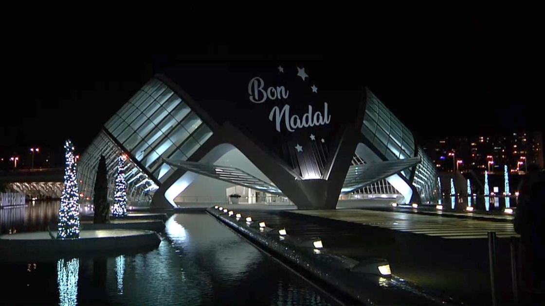 El presidente de la Comunidad Valenciana, Carlos Mazón, ha participado en el encendido especial de Navidad de la Ciudad de las Artes y las Ciencias de Valencia en el que se ha iluminado oficialmente el árbol instalado en el paseo.