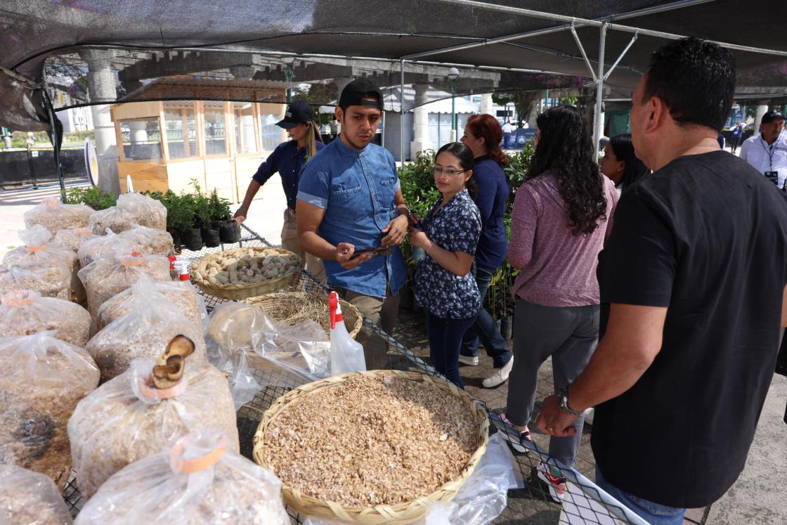 Visitantes recorren las instalaciones del segundo campamento de nutrimoviles del programa social privado "Guatemaltecos por la Nutrición", este sábado en la Ciudad de Guatemala (Guatemala). EFE/ Mariano Macz 