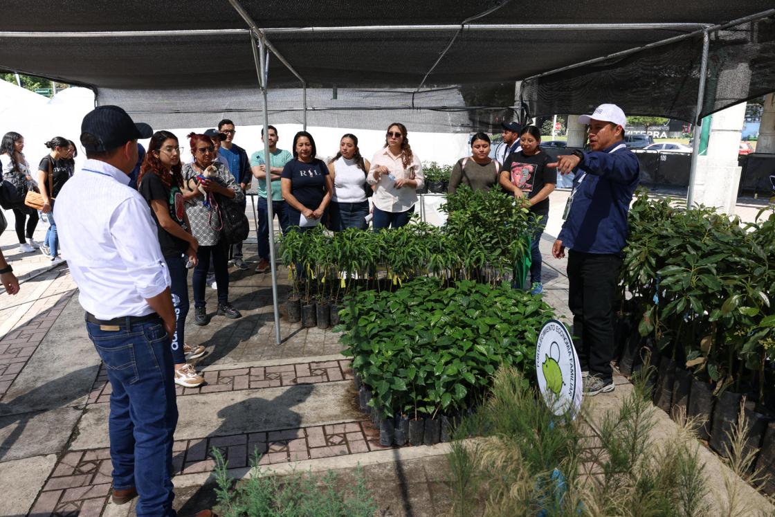Visitantes recorren las instalaciones del segundo campamento de nutrimoviles del programa social privado "Guatemaltecos por la Nutrición", este sábado en la Ciudad de Guatemala (Guatemala). EFE/ Mariano Macz 