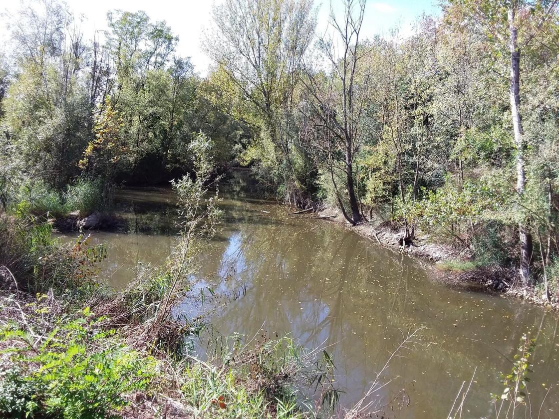 Nestlé colabora con el Consorci del Ter para mejorar 5.000 m² de zonas húmedas en 2025