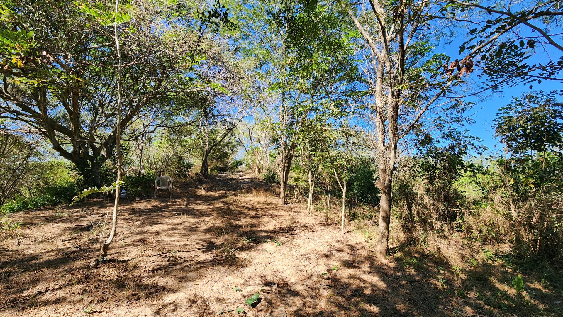 ArcelorMittal México y COFOM dan continuidad a programa de reforestación ambiental. SOLO USO EDITORIAL/ EFE