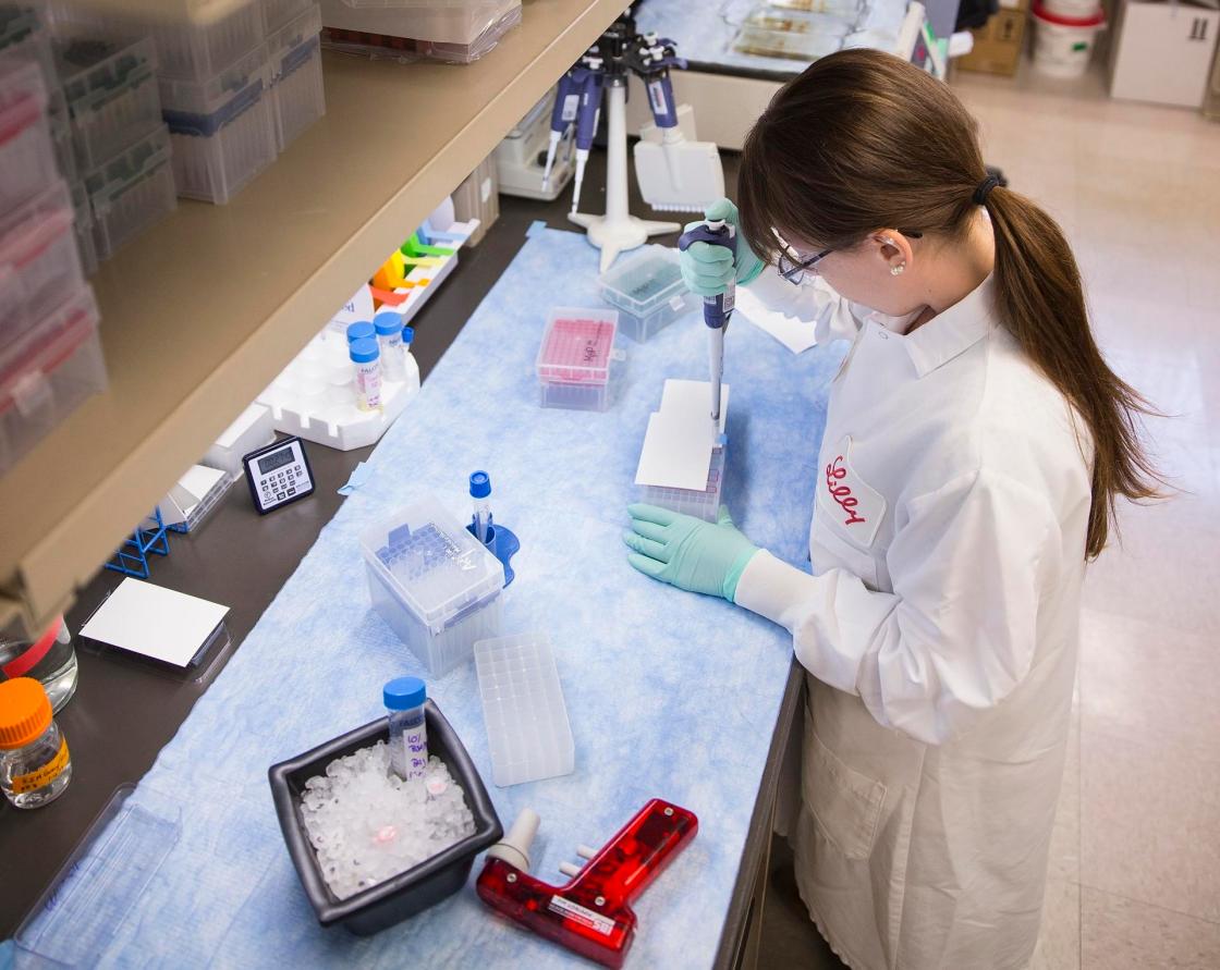 Lilly adquiere nueva planta de fabricación de medicamentos inyectables de Nexus Pharmaceuticals. SOLO USO EDITORIAL / EFE