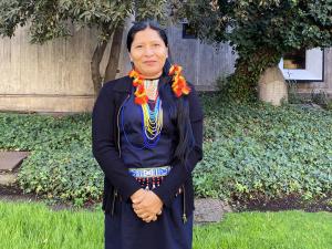 CH0. SANTIAGO (CHILE), 23/04/2024.- La presidenta de la Coordinadora Regional de los Pueblos Indígenas de San Lorenzo, Elaine Shajian posa durante una entrevista con EFE, este martes, en Santiago (Chile). Los pueblos indígenas latinoamericanos reclaman la participación y representación de los pueblos originarios en organismos internacionales como la Comisión Económica para América Latina y el Caribe (CEPAL) y la Conferencia de las Partes (COP) del Acuerdo de Escazú,  que se celebra en Santiago hasta el miércoles. EFE/ Elvis González