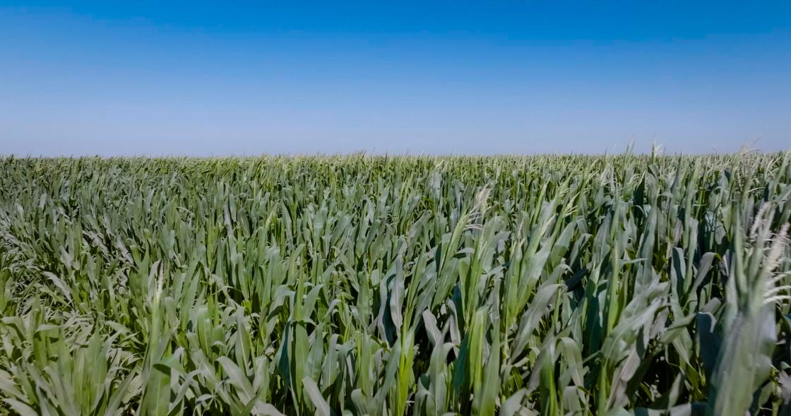 PepsiCo emprende acciones a favor de la sustentabilidad y cuidado del planeta. SOLO USO EDITORIAL /EFE