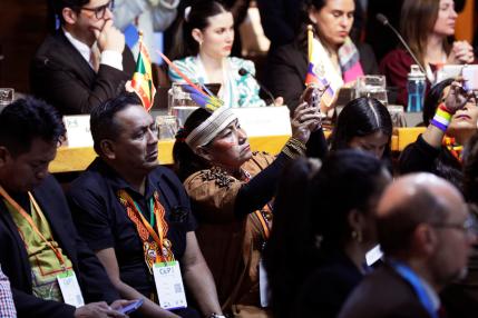 Latin American indigenous peoples seek to represent, “defend in life” their territories