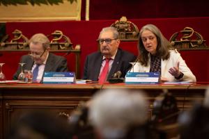 La directora de Relaciones Institucionales de Alexion Pharma, Ana Ojanguren, durante la Jornada sobre Estrategias y Gestión de las Enfermedades Raras en la Comunidad de Madrid, organizada por la Fundación Bamberg en la Real Academia Nacional de Medicina, en Madrid. EFE/BAMBERG HEALTH/IMAGEN CEDIDA/CRÉDITO OBLIGATORIO