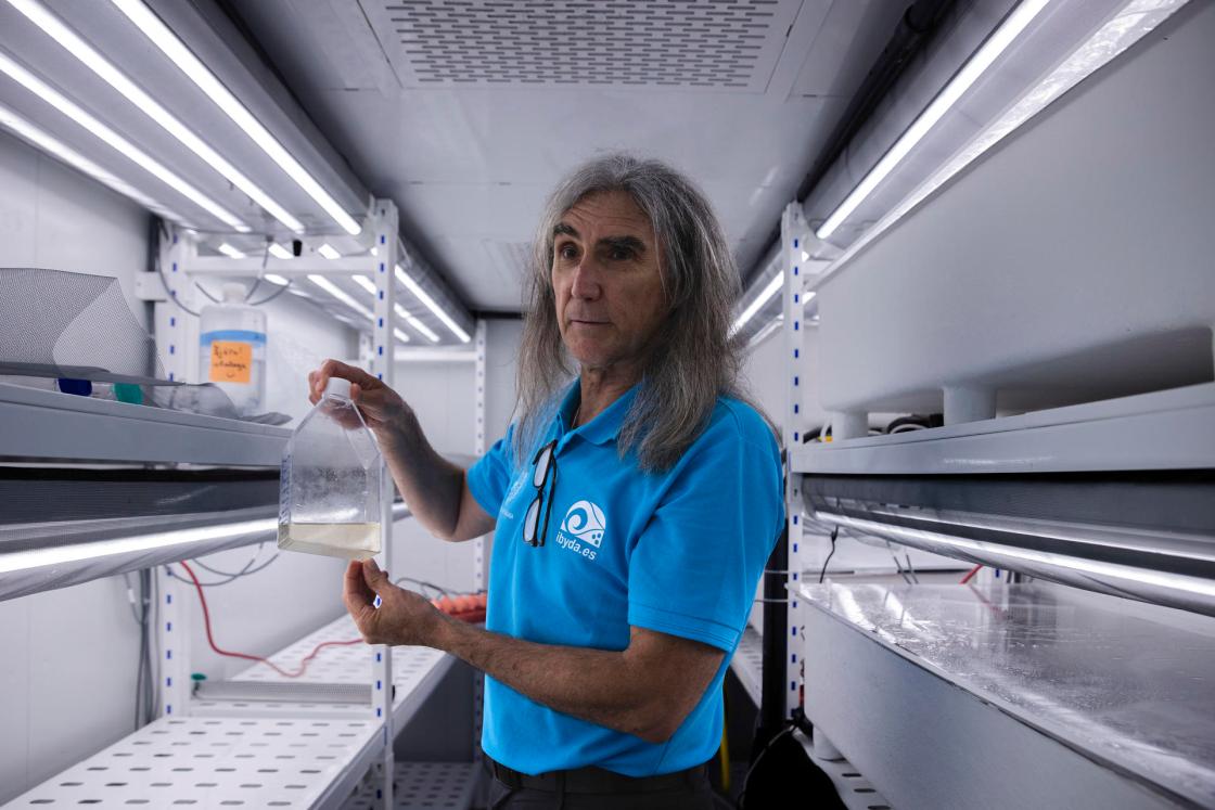 GRAF7111. MÁLAGA, 15/07/2024.- El catedrático de Ecología de la Universidad de Málaga (UMA) Carlos Smerdou trabaja en el único laboratorio de cultivo de algas polares de España, un espacio dotado con cámaras climáticas que pueden alcanzar los 40 grados bajo cero en el que los investigadores estudian cómo el calentamiento global afecta a estos organismos, claves en la cadena trófica del Ártico. EFE/Jorge Zapata