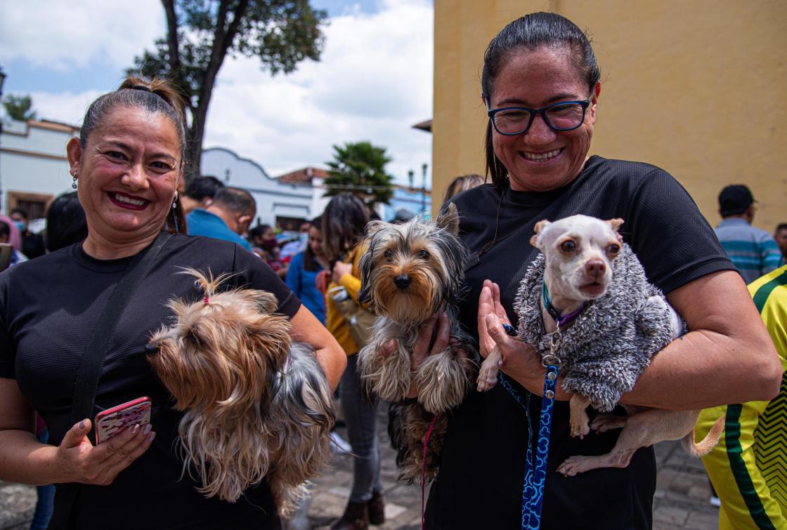 Fotografía de archivo de personas con sus mascotas en los festejos de San Francisco de Asís, en el municipio de San Cristobal de las Casas, Chiapas (México). EFE/Carlos López ARCHIVO