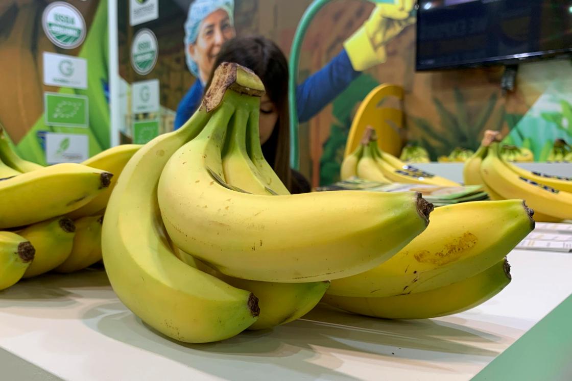 Photograph of Ecuadorian bananas at the 2024 Fruit Attraction fair at IFEMA, Madrid (Spain). EFE/ Patricia Cotelo Bertaiola