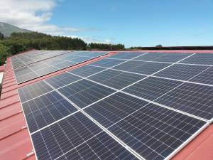 Fotografía de paneles solares instalados en una de las granjas proveedoras de Nestlé./IMAGEN CEDIDA POR NESTLÉ