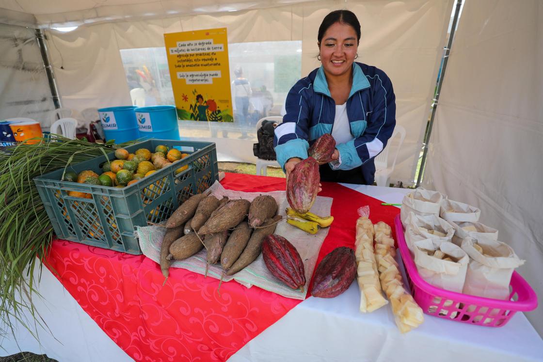 Un mujer vende productos orgánicos durante el séptimo Festival del Chocó Andino, el 12 de octubre de 2024, en la población de Calacalí, al noroccidente de Quito (Ecuador). EFE/ José Jácome 