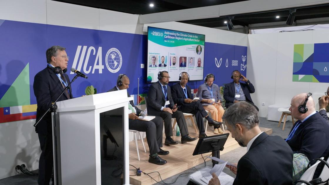 El director del Instituto Interamericano de Cooperación para la Agricultura (IICA), Manuel Otero, participó en la COP29 en un panel sobre el futuro de la agricultura y su impacto en la sociedad. EFE