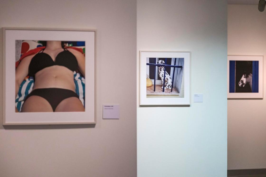 GRAFCAN7412. LAS PALMAS DE GRAN CANARIA (ESPAÑA), 14/11/2024.- La Fundación Mapfre Canarias expone desde este jueves en su sede de Las Palmas de Gran Canaria el "universo de color" del fotógrafo almeriense Carlos Pérez Siquier (1930-2021), con cerca de 60 instantáneas que muestran a un profesional de la imagen pionero en su tiempo. EFE/Ángel Medina G.