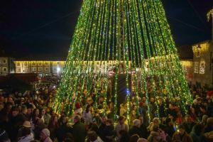 Foto/ cedidas por la Cámara de Guarda