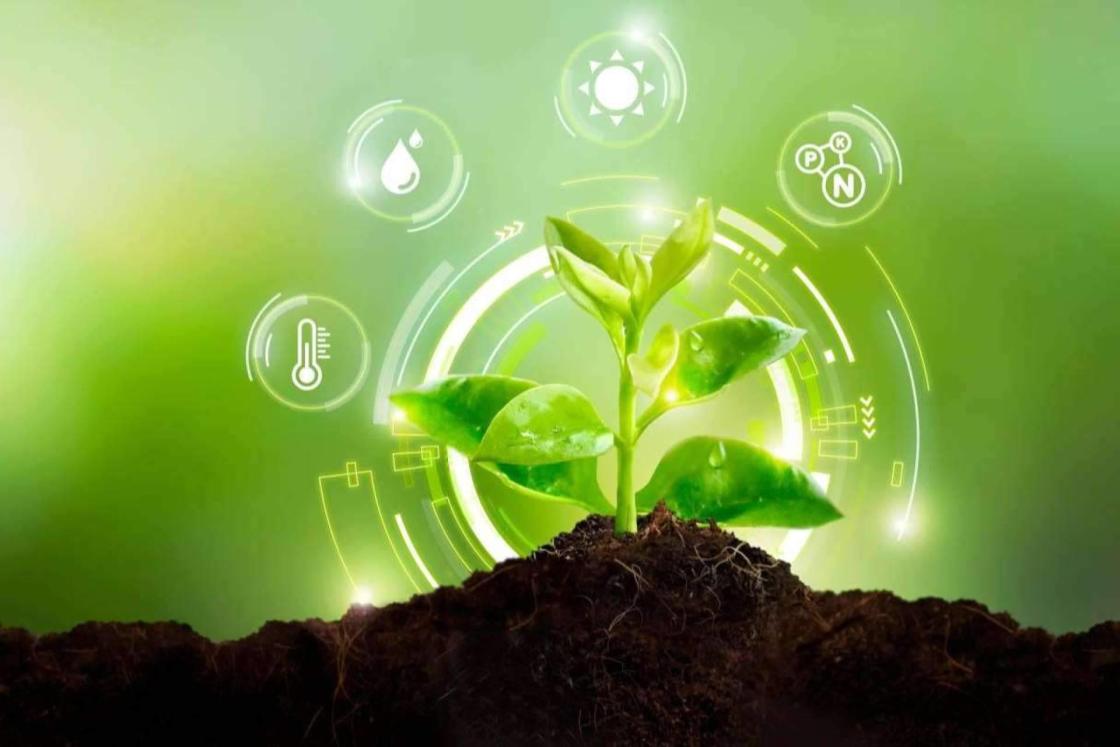 Nostoc Biotech revela cómo los microorganismos del suelo están transformando la agricultura