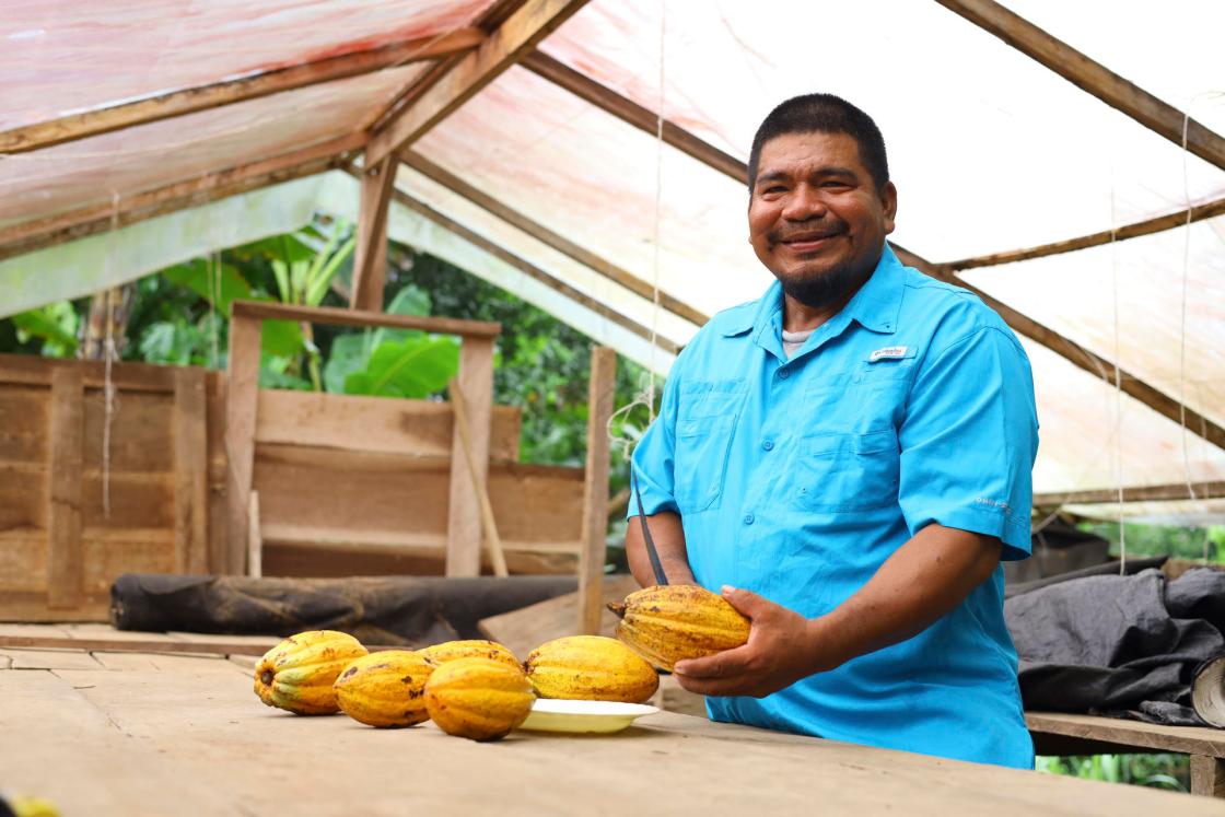 Fotografía cedida por Microserfin del productor de cacao panameño, Constantino Blandford trabajando con semillas de cacao en su finca en Bocas del Toro (Panamá). EFE/ Microserfin /SOLO USO EDITORIAL/SOLO DISPONIBLE PARA ILUSTRAR LA NOTICIA QUE ACOMPAÑA (CRÉDITO OBLIGATORIO) 