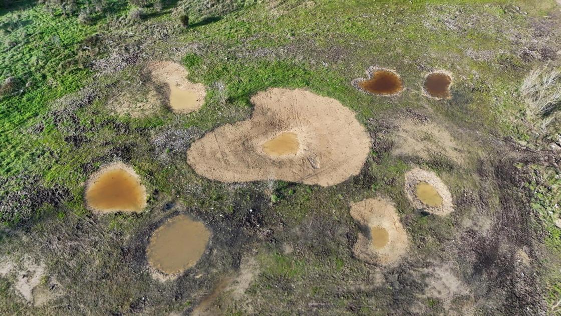 Charcas temporales construidas por el Consorci del Ter en colaboración con Nestlé en el paraje de Deveses d’en Bru, en Girona. EFE/NESTLÉ/CEDIDA/CRÉDITO OBLIGATORIO