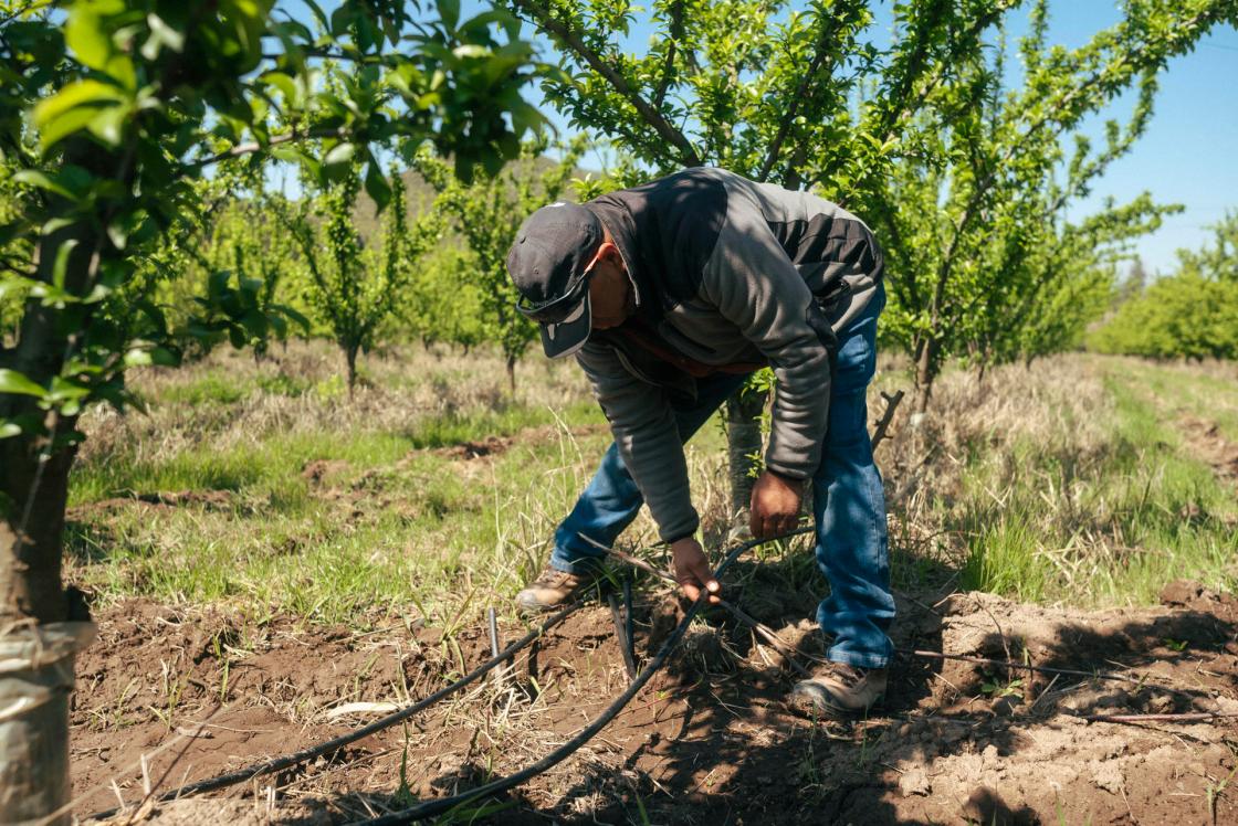 Fotografía cedida por Kilimo de un hombre sosteniendo un alambre en la zona de Peñaflor (Chile). EFE/ Kilimo /SOLO USO EDITORIAL NO VENTAS /SOLO DISPONIBLE PARA ILUSTRAR LA NOTICIA QUE ACOMPAÑA (CRÉDITO OBLIGATORIO)