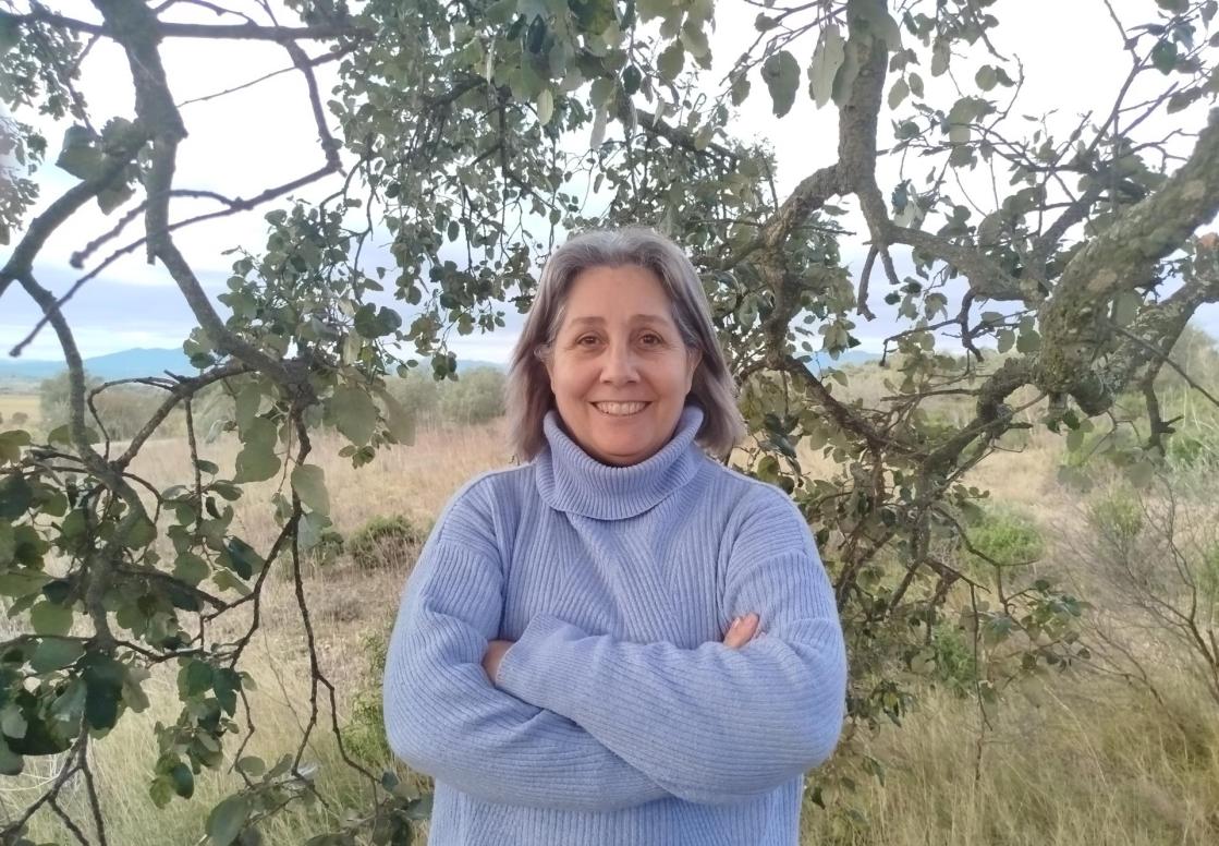 El árbol de los deseos: una historia de segundas oportunidades y crecimiento personal.