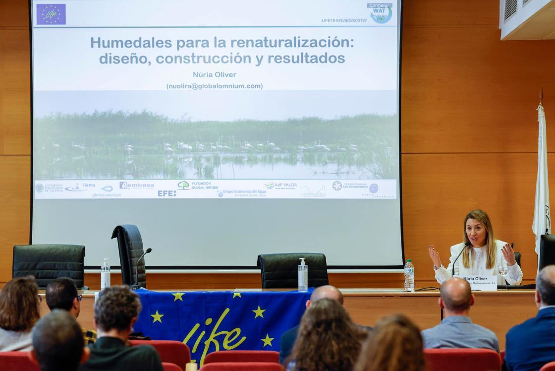 GRAFCVA6249. VALENCIA, 13/03/2025.- La técnica de Innovación del área de Residuales de Global Omnium Medioambiente, Nuria Oliver, durante su intervención en la jornada técnica del proyecto Life Renaturwat, capitaneado por Global Omnium junto con la Universitat Politècnica de València, Emivasa, el Instituto de Ingeniería del Agua y Medio Ambiente (IIAMA), el Grupo Aguas de Portugal, EFE Verde y la fundación Global Nature, un proyecto que comenzó en 2016 y cuya clausura se ha celebrado este jueves en València. EFE/Ana Escobar
