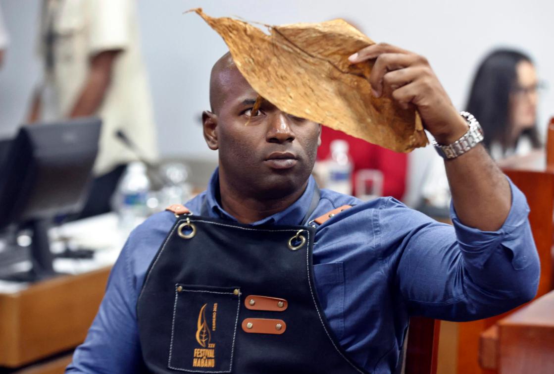 HAVANA (CUBA), 02/26/2025.- A man sorts tobacco leaves during the cigar rolling competition in Havana (Cuba). As part of the 25th edition of the Festival del Habano, organized by the Spanish-Cuban tobacco company Habanos, the traditional cigar rolling competition was held, featuring artisans who handcraft Cuba’s most prized cigars using traditional techniques. EFE/Ernesto Mastrascusa.