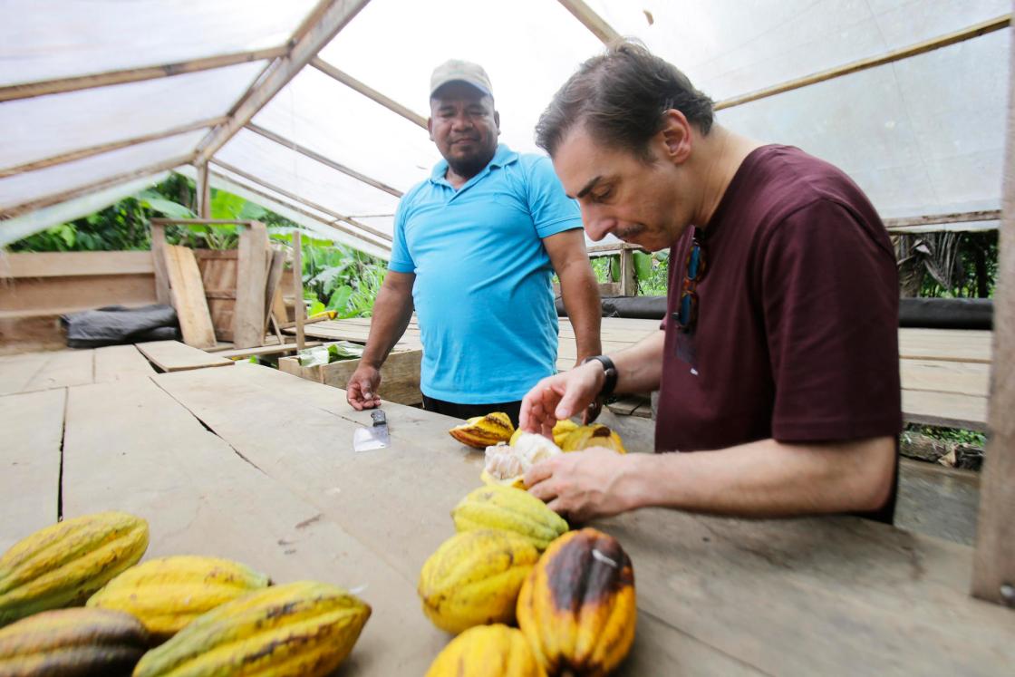 El chef español Jordi Roca (d), junto al agricultor Constantino Blandford, observan algunos frutos de cacao en Río Oeste Arriba (Panamá). EFE/ Carlos Lemos