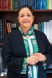 Las sustancias químicas presentes en los alimentos o productos de higiene para niños, como las toallitas o cremas, pueden hacerles más sensibles ante los alérgenos, según ha expuesto la presidenta de la Academia Europea de Alergia e Inmunología Clínica (EAACI), María José Torres (en la imagen), catedrática del Departamento de Medicina de la Universidad de Málaga. EFE/ María Alonso